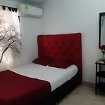 New Iguana House